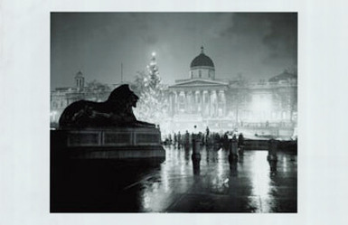 Christmas Tree in Trafalgar Square, London 1955