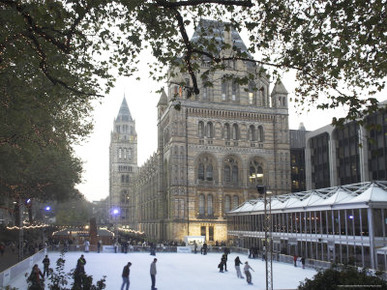 Christmas, Natural History Museum, Kensington, London, England, United Kingdom