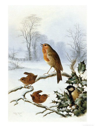Christmas Robin and Friends